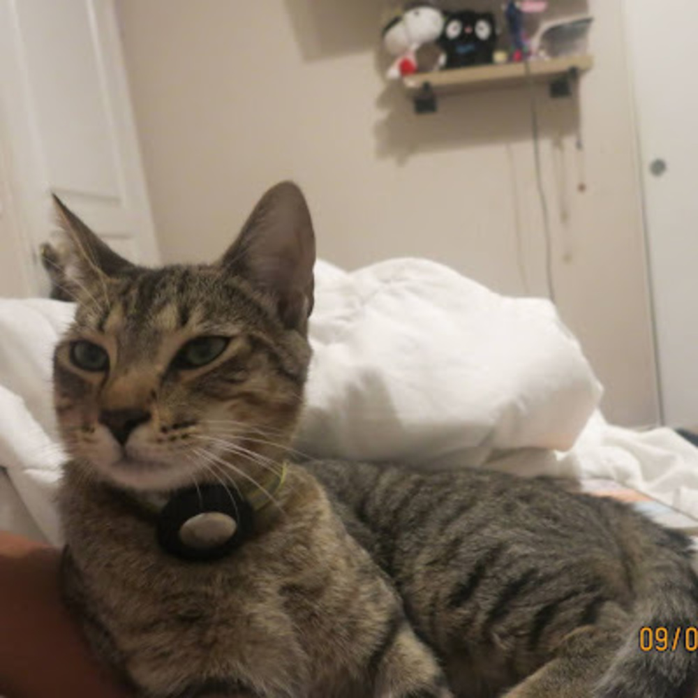 Meet your Posher, Natalia